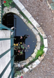 2013jun24 Folly Pond